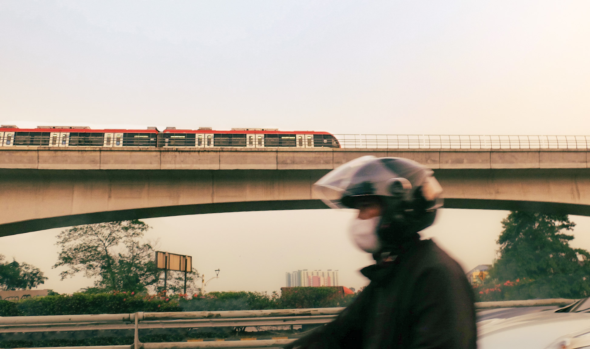 portrait photography